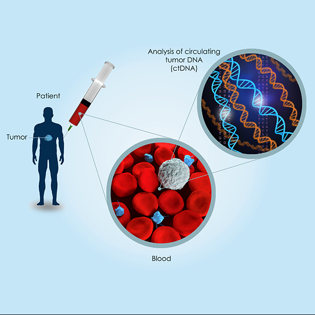 Illustration depicts circulating tumor DNA process